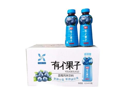 藍莓風(fēng)味飲料1*15*520ml